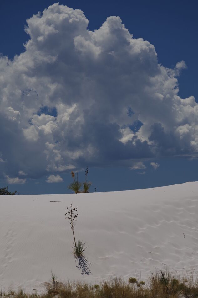 White Sands Afternoon...