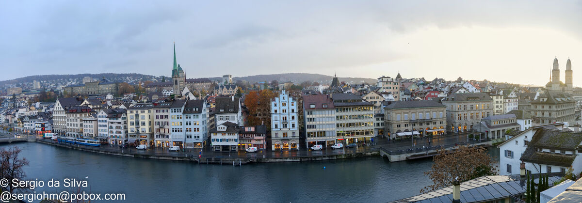 Zurich Panoramic View...