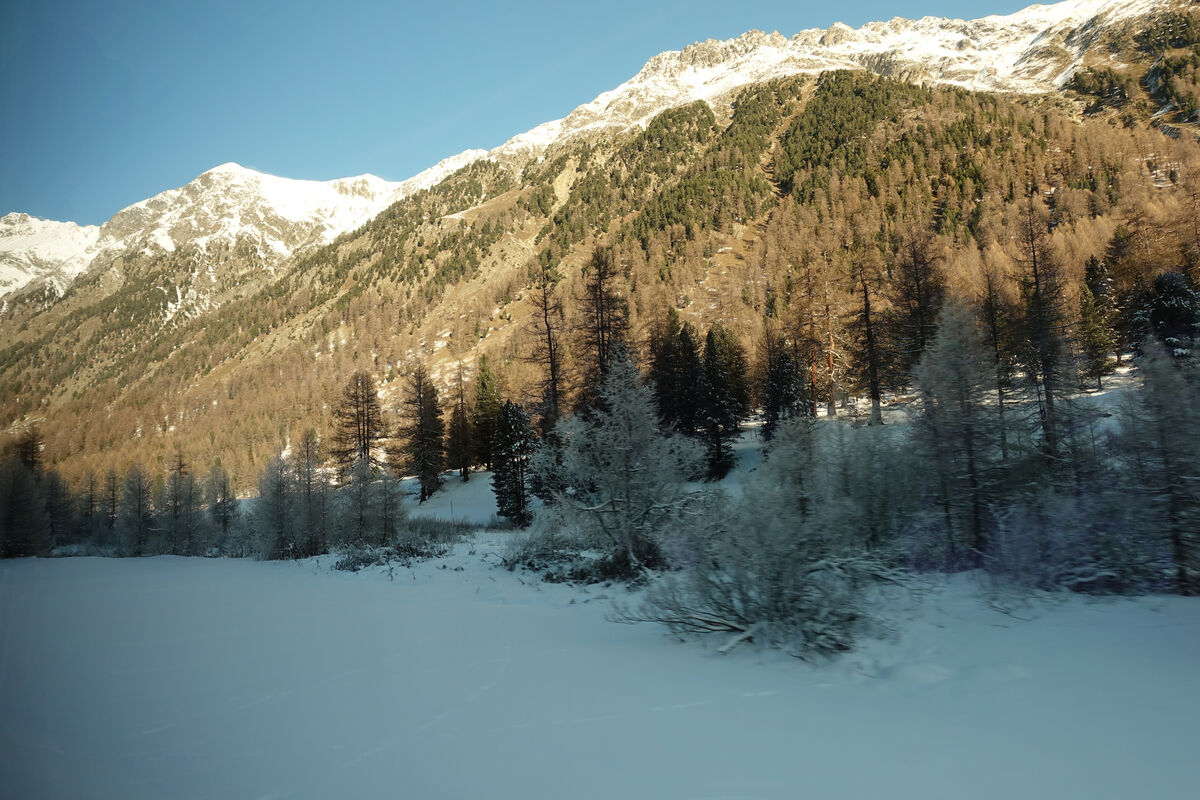 This trip by train between St Moritz and Belinzona...