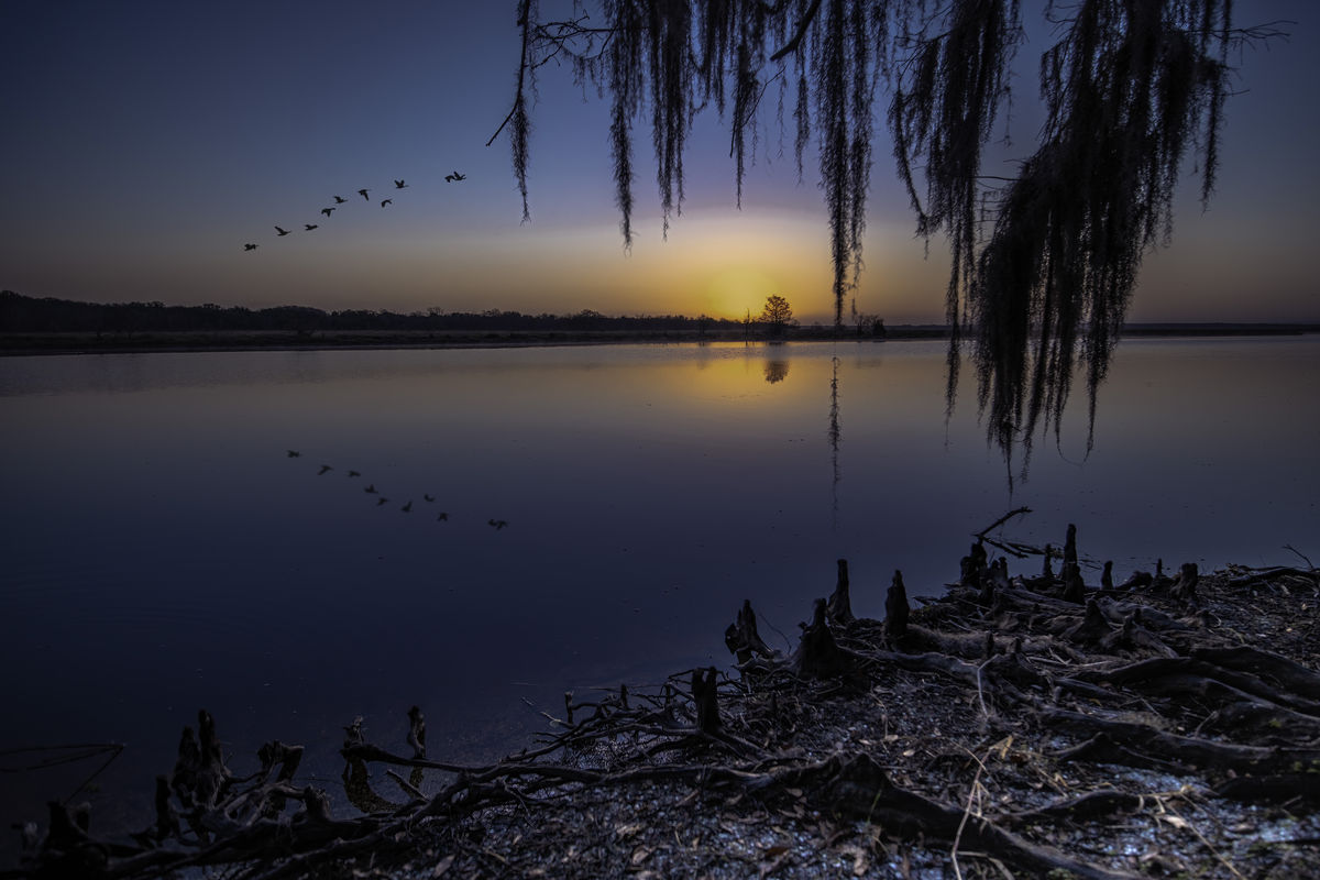 Lake Harney Took a trip at dawn to Lake Harney in Geneva Florida and