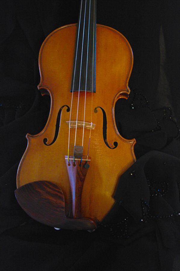 A "dress portrait" of my violin...
