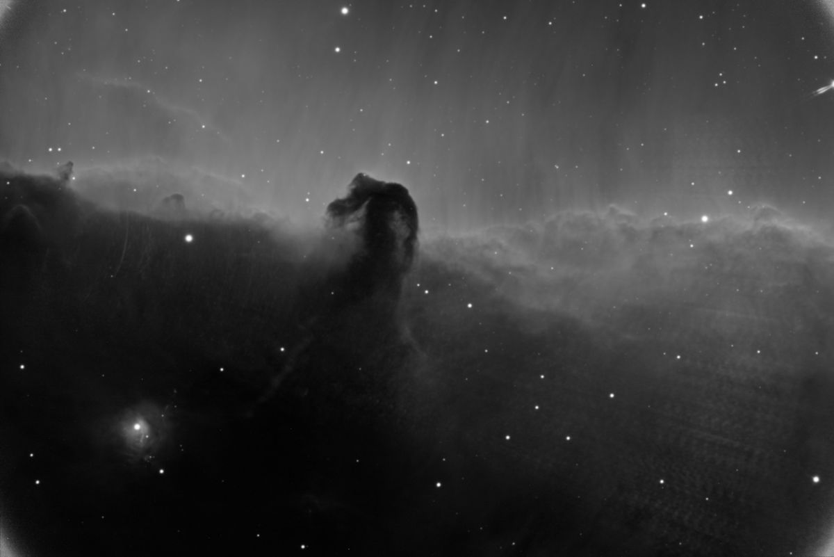 Horsehead showing effects of the focal reducer....