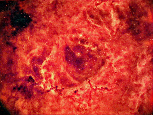 Ring of fire Rosette nebula...