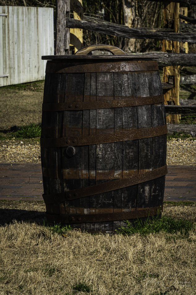 Colonial Williamsburg Photowalk: My Camera Club (hampton Roads Digital 