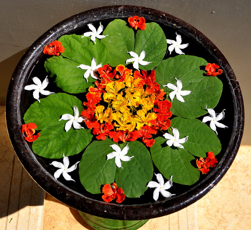 9 - Water basin with floral decoration - refreshed...