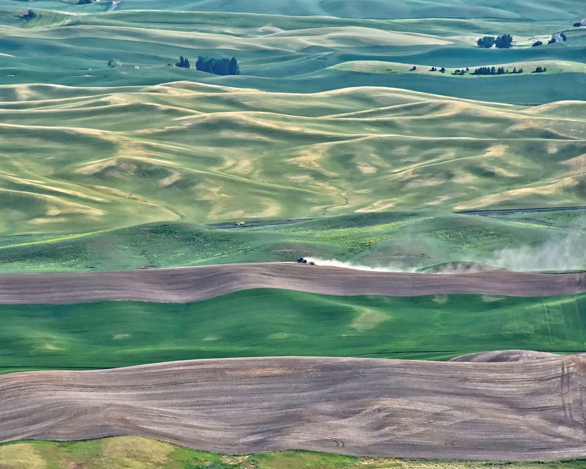 View of the Palouse in Washington State from the t...