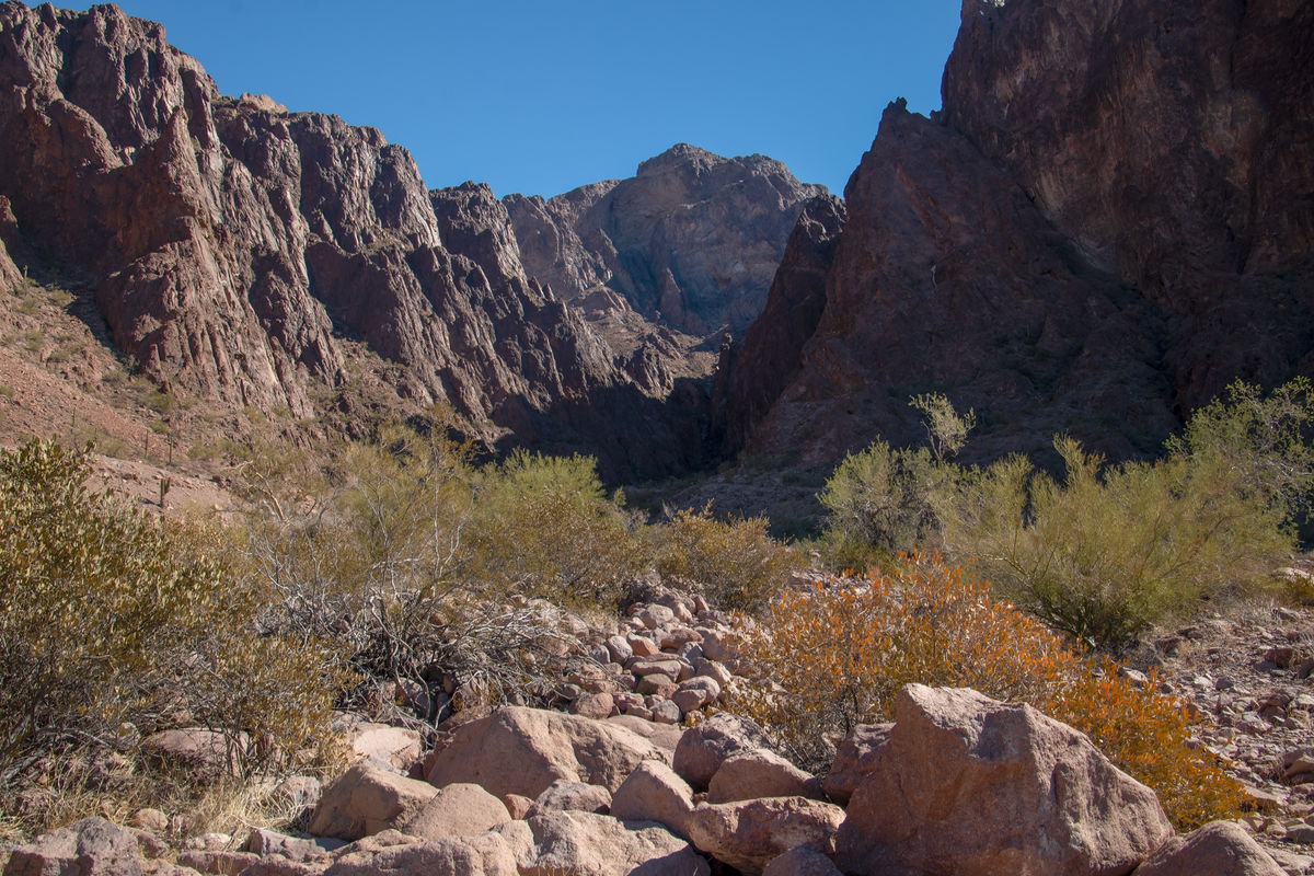 Heading into Palm Canyon in the Kofa National Wild...