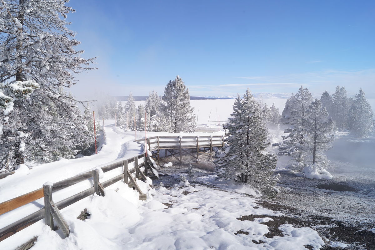 We encountered many boardwalks and bridges across ...