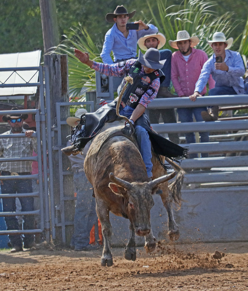 First of 2 consecutive shots of this Bull rider...