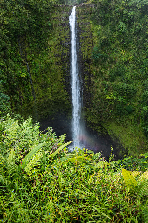 Waterfall at Akaka Falls State Park on the "Big Is...