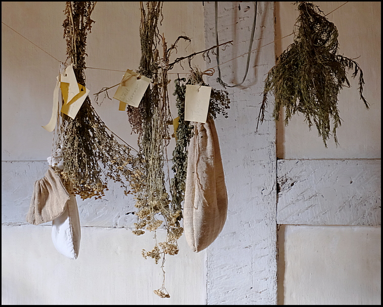 8. Various herbs hanging to dry....