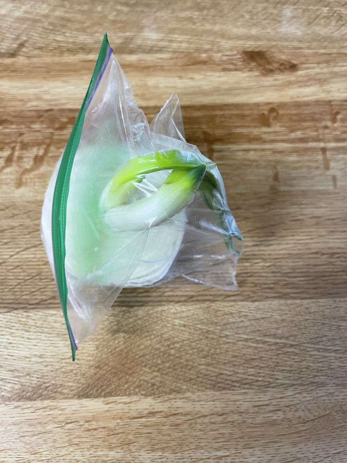 Onion in Baggie This onion has been stored in my refrigerator since Jan or Feb of this year