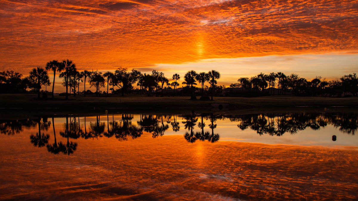 Sunrise over a golf course lake, Naples, FL...