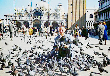 1955 October   Venice Italy   Pigeons attack me in...