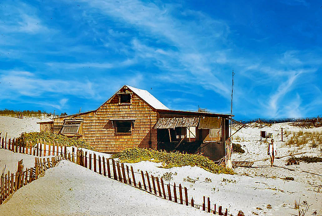 1959 August   Island Beach State Park   Hartshorn ...