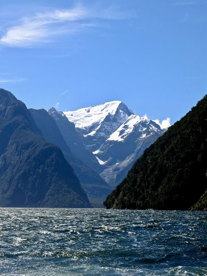 along a fjord in New Zealand...