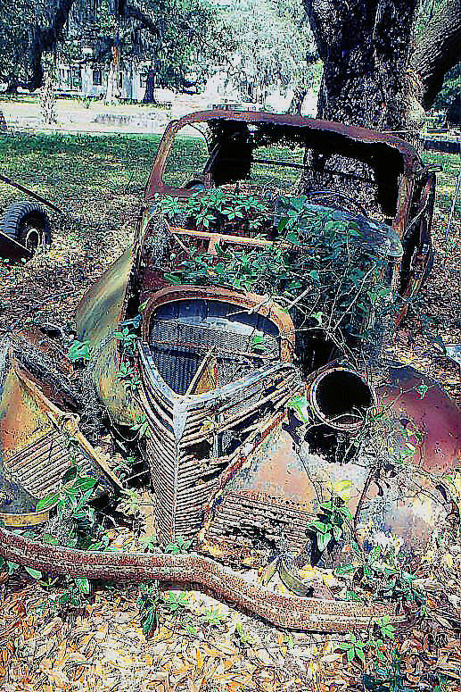 1997 March  Cumberland Island Georgia  Relic Auto ...