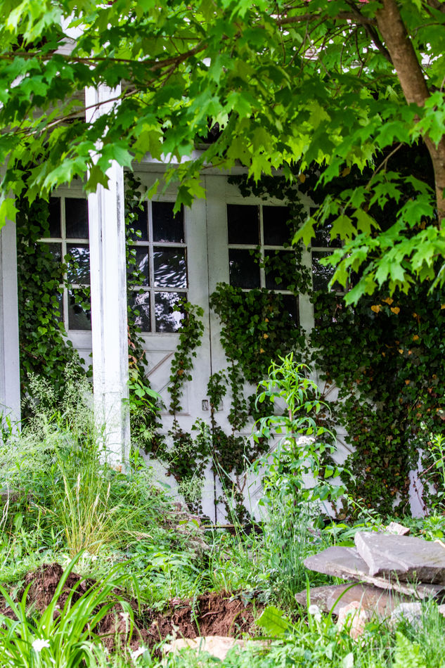 The Walk Yesterday From my walk around the Terraces Resort in