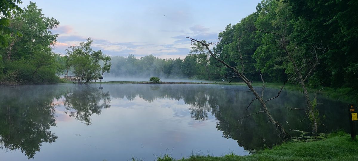 Early Morning Beauty Firestone Metro Park