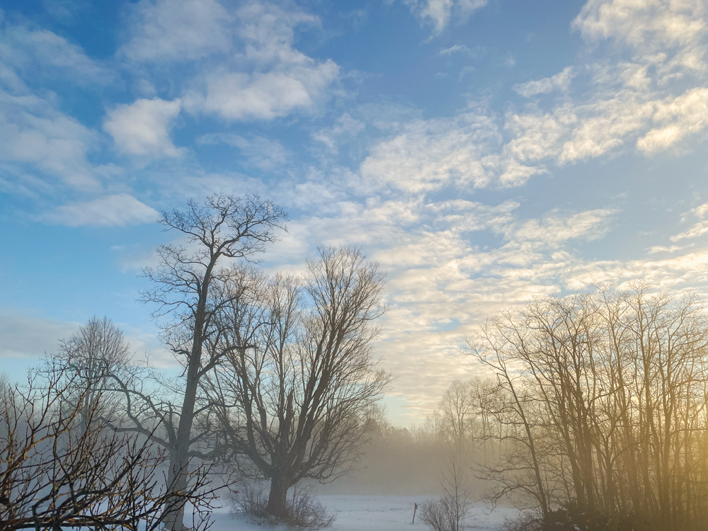 Mid-winter Morning Mist...