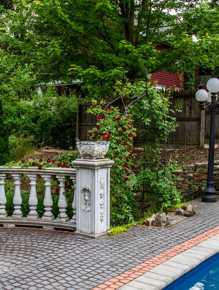 More of Terraces Resort The roses went into full bloom the last day of