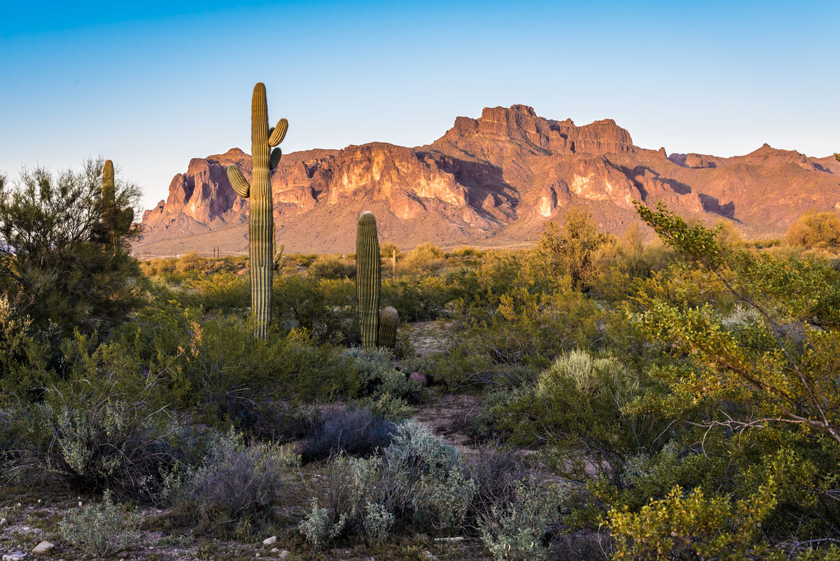 Arizona In March _ What to Pack for Arizona in March: A Complete Guide ...