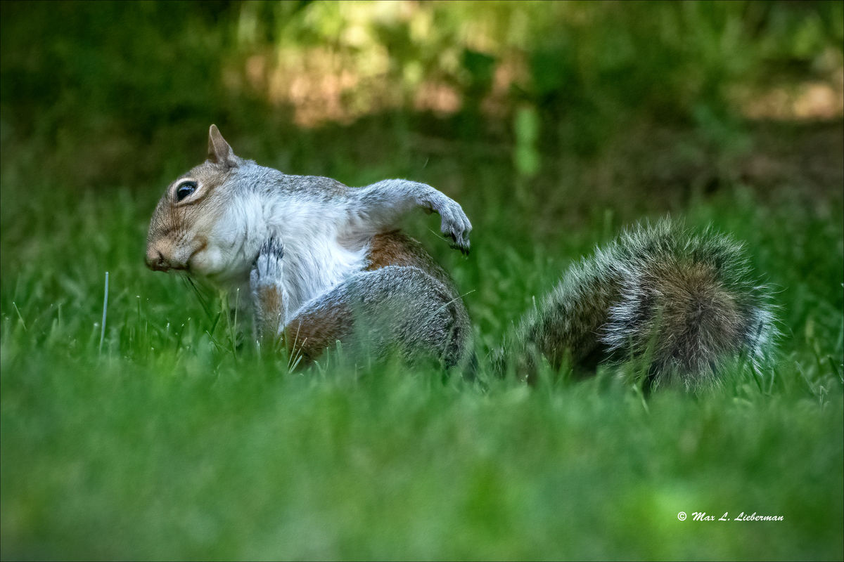 This week in Blue Bell I saw some unusual behaviors this week. For the