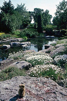 1988 June  Montreal   Montreal Botanical Gardens...