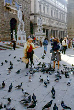 1955 October  Florence, Italy  Wildlife in the Pia...