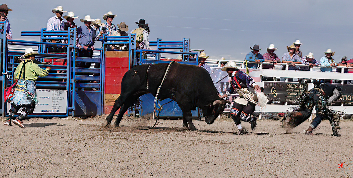 Clown distracts bull as rider stumbles toward fenc...