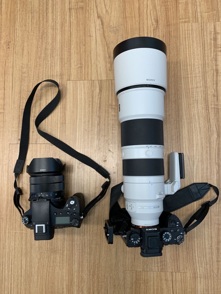 RX10iv vs a9 with 200-600mm...