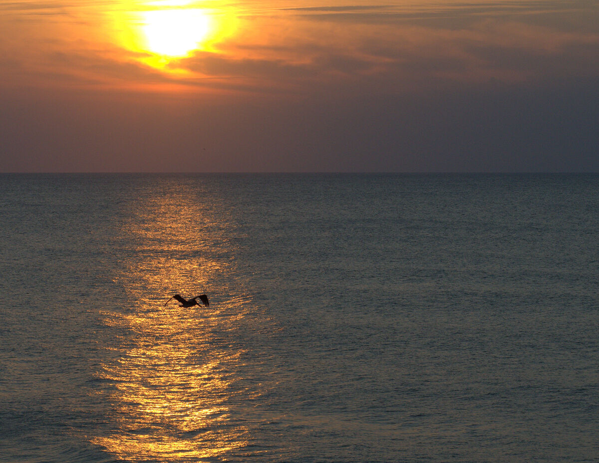 Sunrise, Kur Beach, NC D600, f/14, 1/2000, ISO1600...