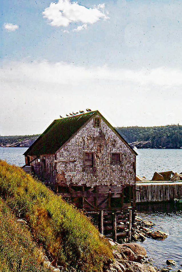 1982 September  Nova Scotia  Cape Breton Island  N...