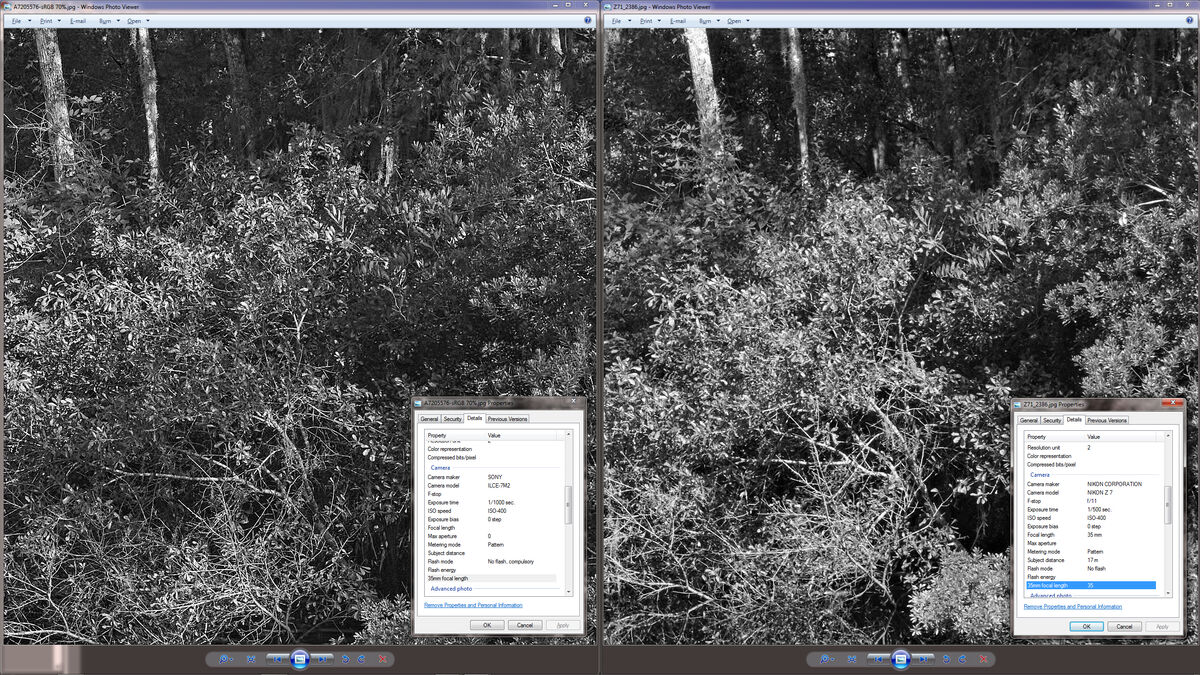 24MP monochrome compared to 45MP B&W conversion: I took a picture at 9:
