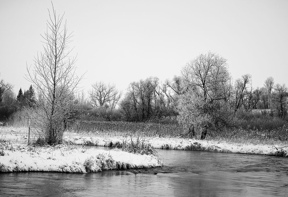 Winter Creek Cold December day.