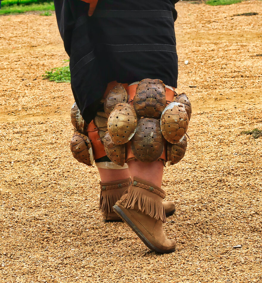 Leg Rattles of Tortoise Shells...