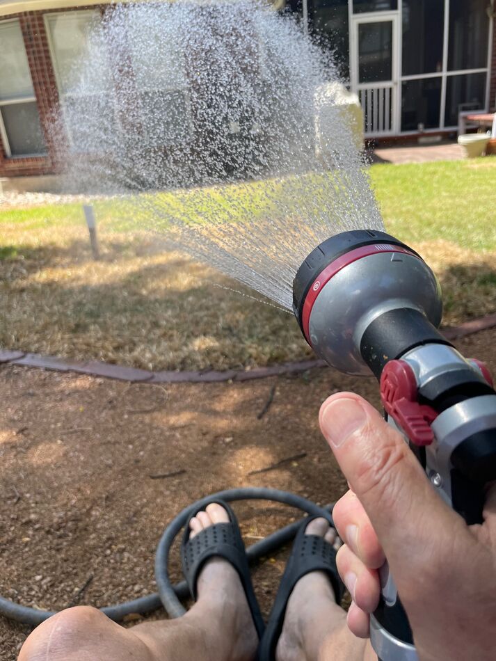 Got some new sod I have to hand water due to restr...