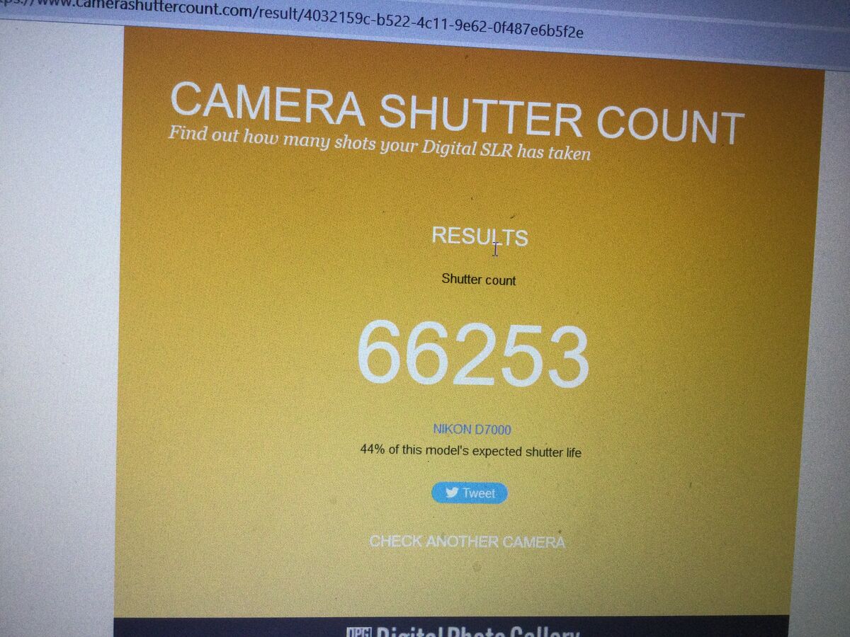 my shuttercount does it keep photos