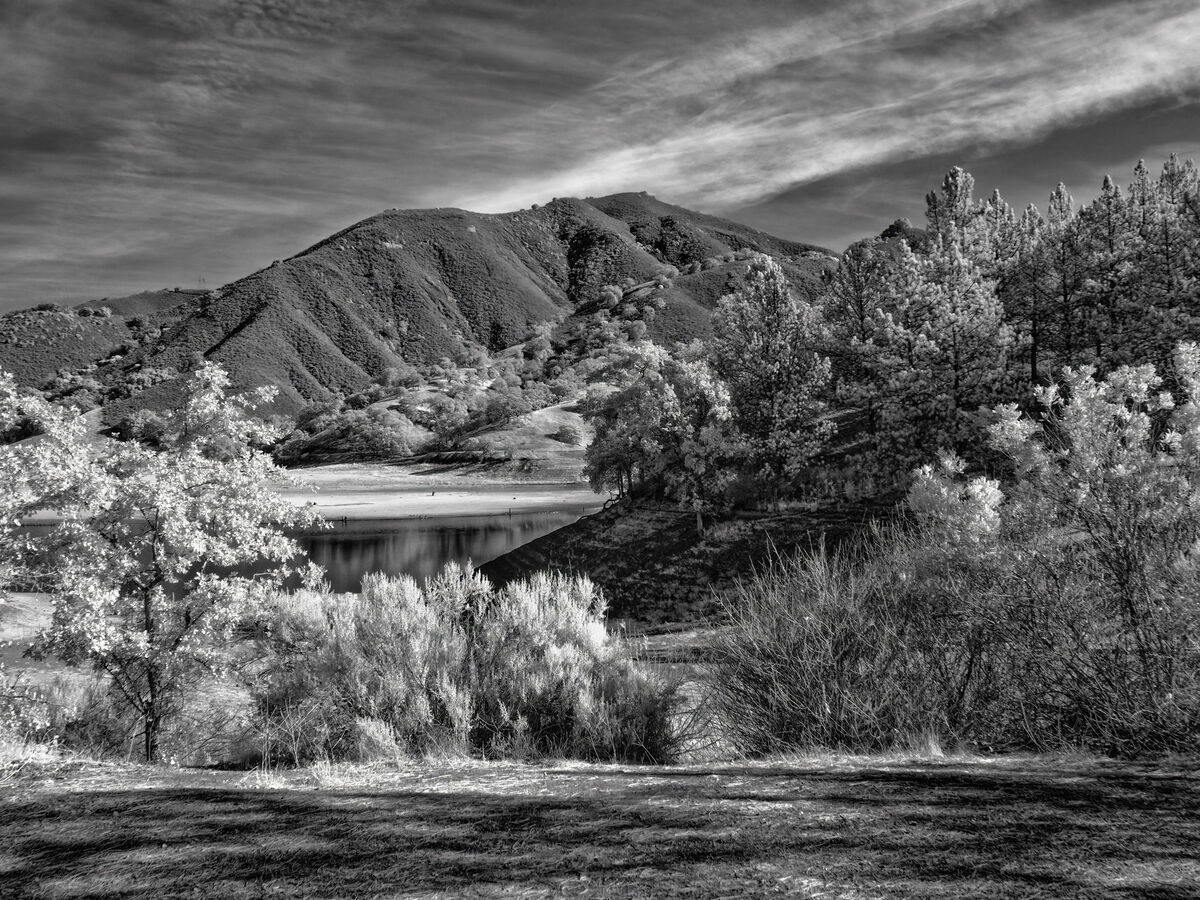 Conversion to B&W using Silver Efex Pro with WetRo...