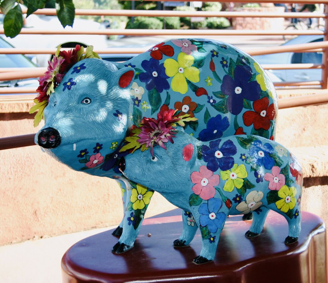 … these colorful javelinas...