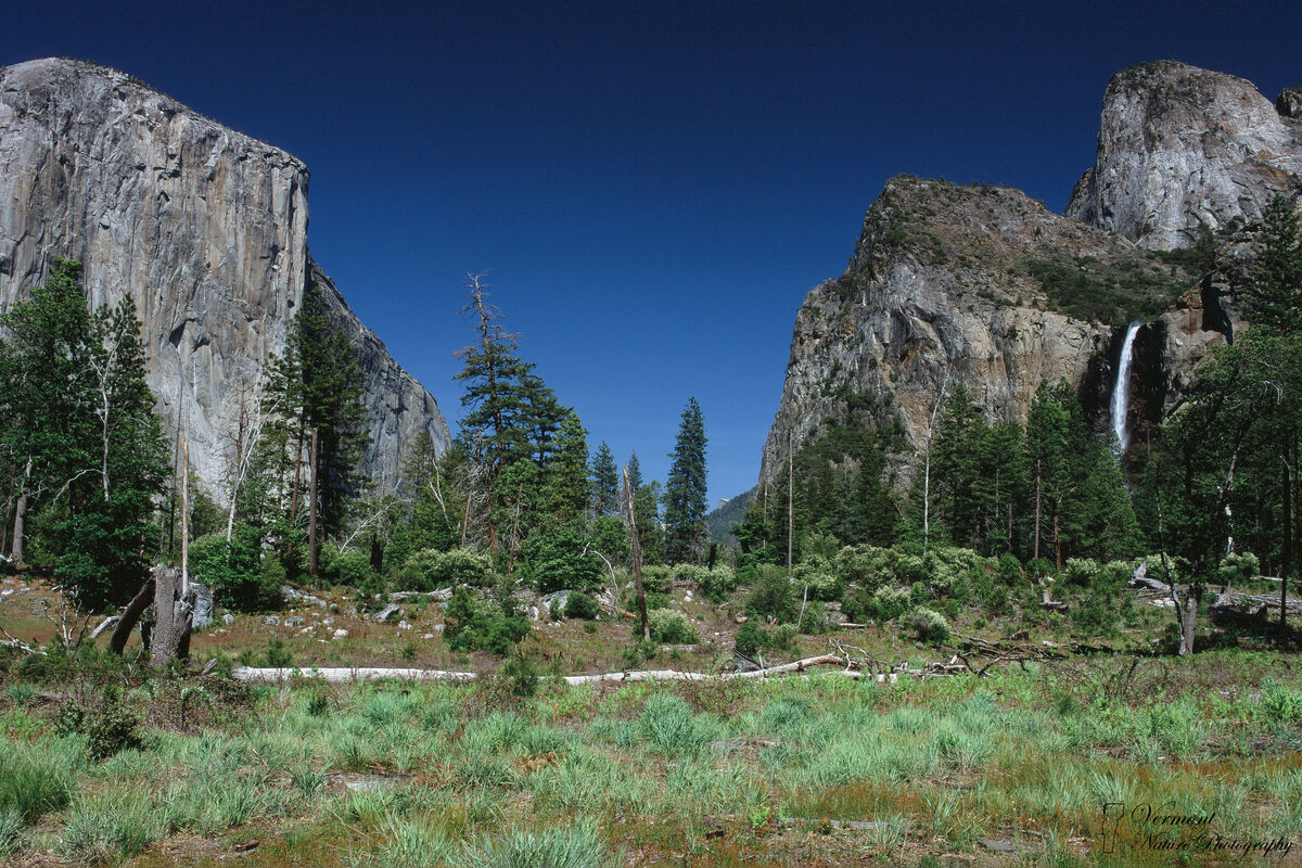Valley View (Yosemite Nat'l Park, Mamiya RB67 Pro-...