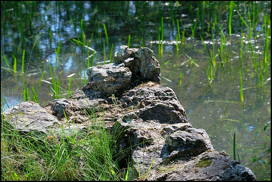 5. Rock outcropping on water's edge....