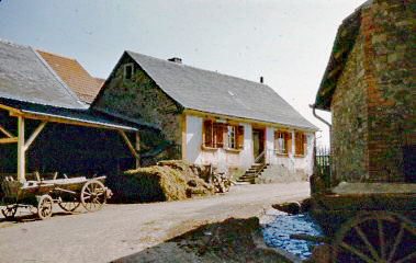 1954 Fohren-Linden, Germany   Typical Farmhouse....
