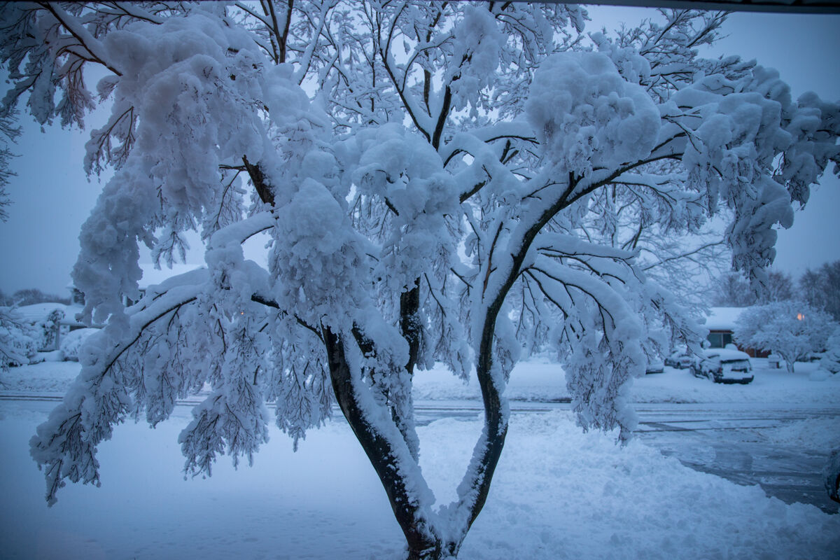 Late Last Spring: Crazy freak snow storm late April on Long Island. The ...
