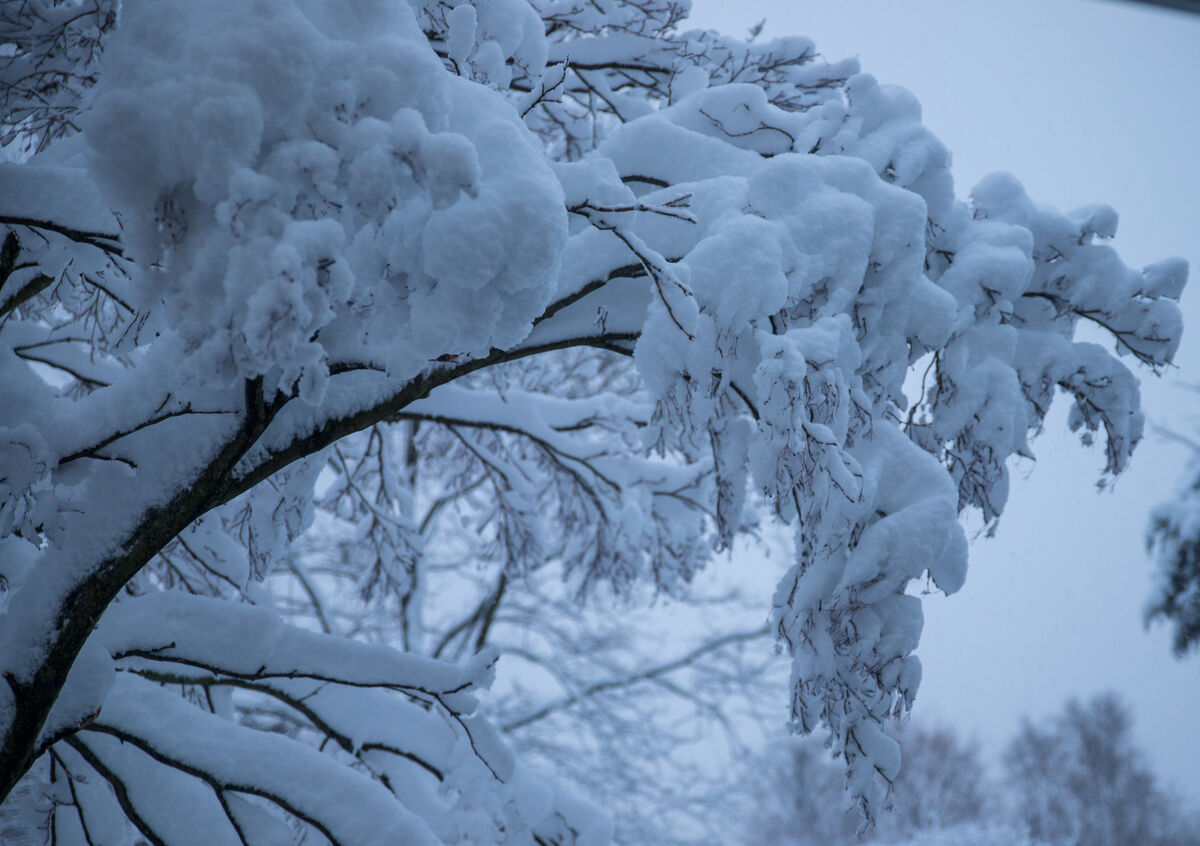 Late Spring Cold Late Last Spring: Crazy freak snow storm late April on Long Island. The ...
