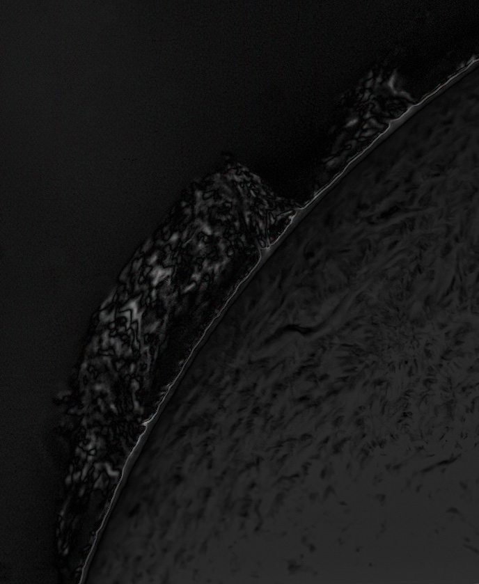 Ha Solar - Sunspots, Prominences and Surface Features: For the past ...