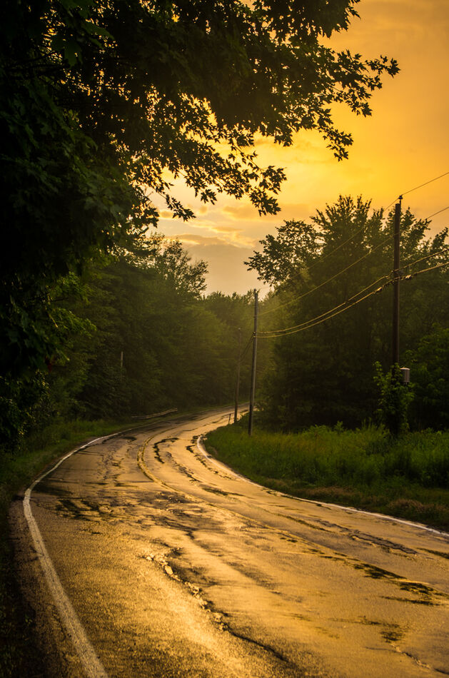 Down the road after a rain...