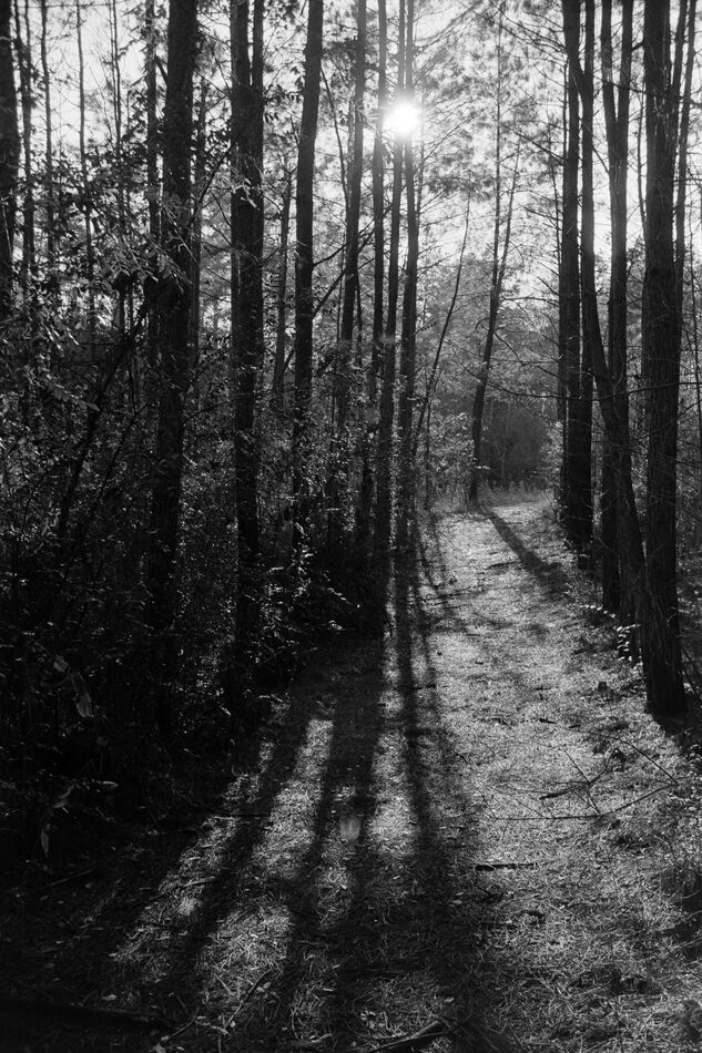 Jogging Trail (from a Tri-X negative made in 1975)...