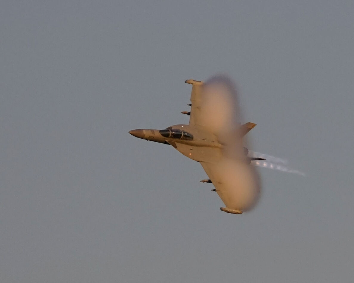 F-18 (or an EA-18)...