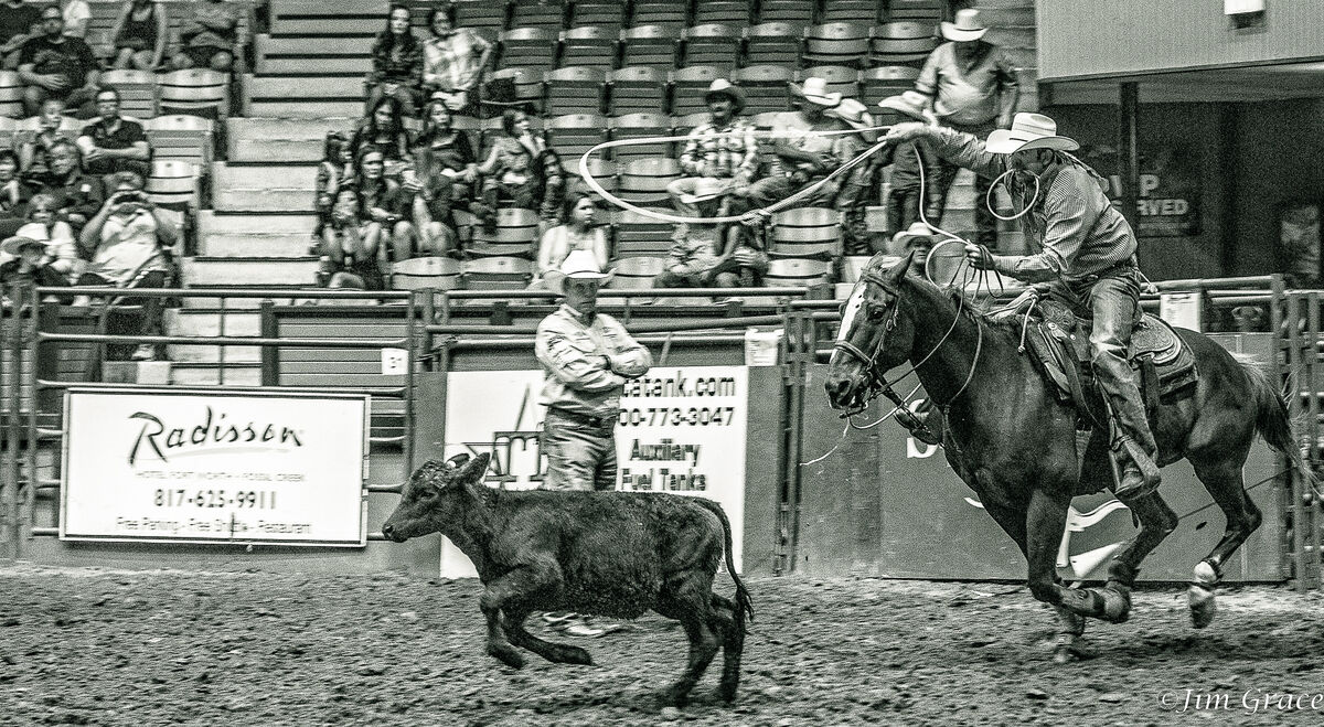 A little Roping to start off...